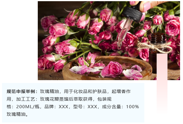 <a href='http://gorbxqx.cn' title='危險品海運' >危險品海運</a>