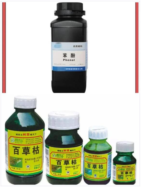 <a href='http://gorbxqx.cn' title='國際貨運代理' >國際貨運代理</a>
